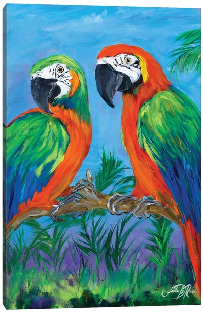 Island Birds I Canvas Art Print - Julie Derice