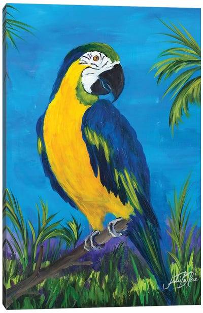 Island Birds II Canvas Art Print - Julie Derice