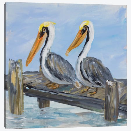 Pelicans on Deck Canvas Print #DRC44} by Julie Derice Art Print