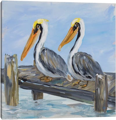 Pelicans on Deck Canvas Art Print - Julie Derice