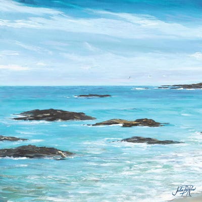 Rocky Shore I by Julie Derice canvas print
