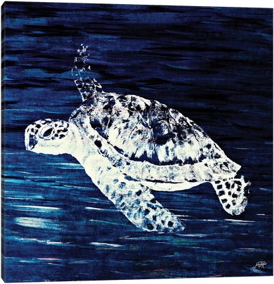 Swim Along I Canvas Art Print - Turtle Art