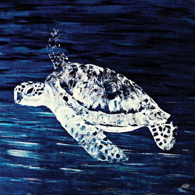 Swim Along I by Julie Derice wall art