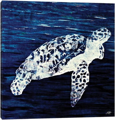 Swim Along II Canvas Art Print - Turtle Art