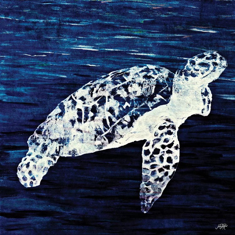 Swim Along II by Julie Derice wall art