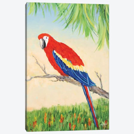 Tropic Bird in Paradise I Canvas Print #DRC58} by Julie Derice Canvas Art Print