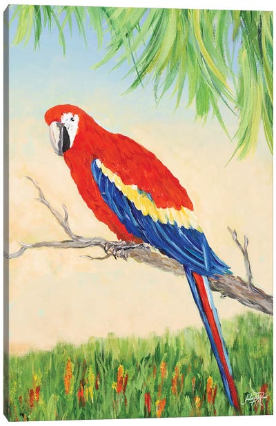Tropic Bird in Paradise I Canvas Art Print - Julie Derice