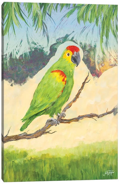 Tropic Bird in Paradise II Canvas Art Print - Julie Derice