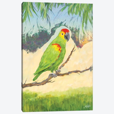 Tropic Bird in Paradise II Canvas Print #DRC59} by Julie Derice Canvas Art Print