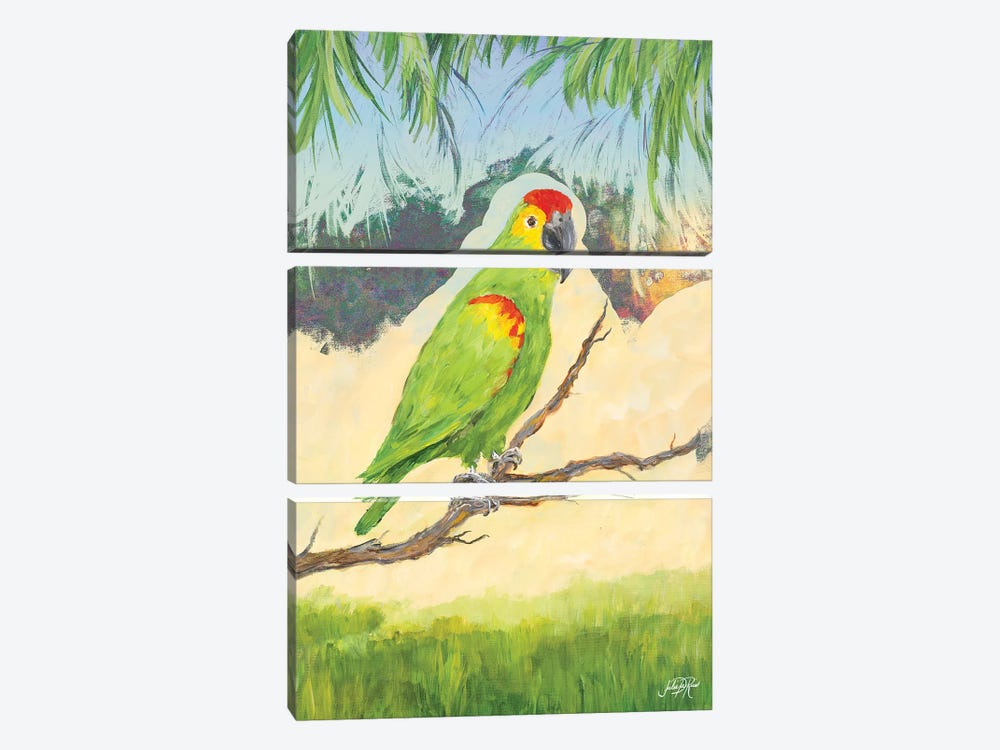 Tropic Bird in Paradise II by Julie Derice 3-piece Art Print