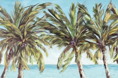 View of the Coastline by Julie Derice canvas print