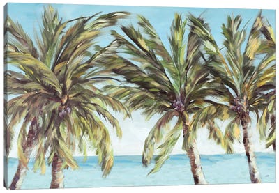 View of the Coastline Canvas Art Print - Julie Derice