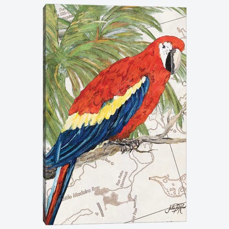 Another Bird in Paradise I Canvas Print #DRC6} by Julie Derice Canvas Artwork