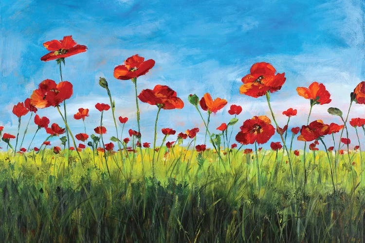 Wild Poppies by Julie Derice wall art