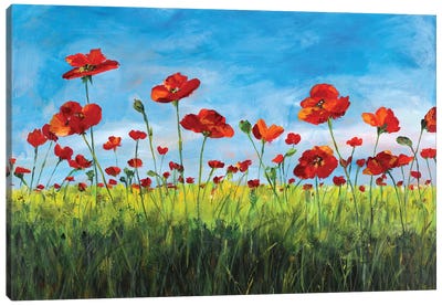 Wild Poppies Canvas Art Print - Poppy Art