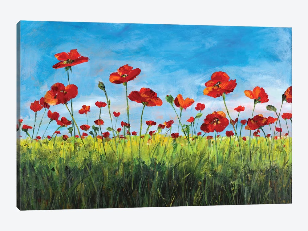 Wild Poppies by Julie Derice 1-piece Canvas Art Print