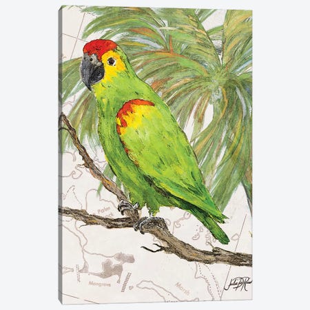 Another Bird in Paradise II Canvas Print #DRC7} by Julie Derice Canvas Art