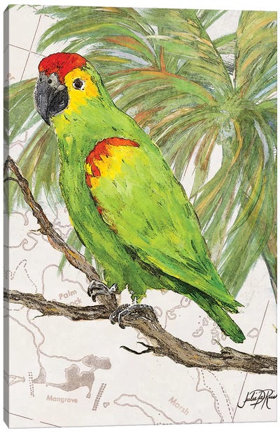 Another Bird in Paradise II Canvas Art Print - Julie Derice