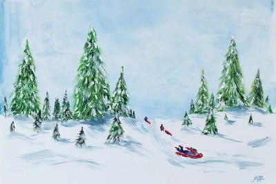 Winter Fun II by Julie Derice canvas print