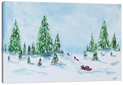 Winter Fun II Canvas Art Print - Julie Derice
