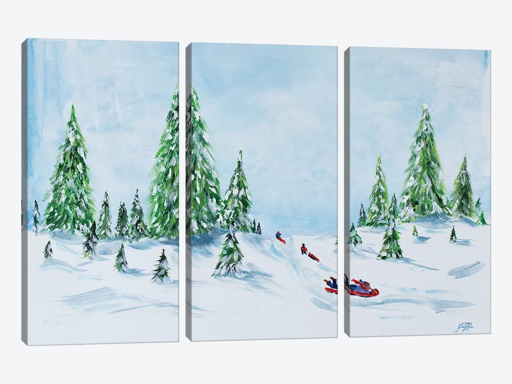 Winter Fun II by Julie Derice 3-piece Canvas Artwork