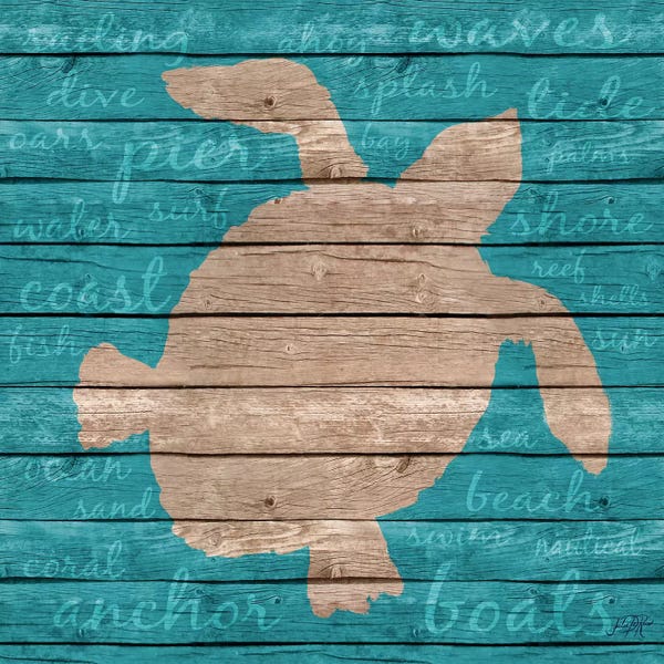 Turtles: Coastal Wonder II by Julie Derice