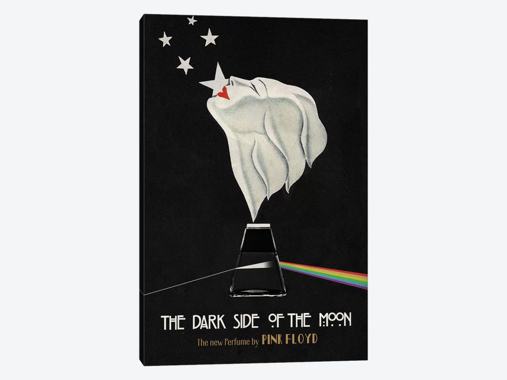 Dark Side Of The Moon by Ads Libitum 1-piece Canvas Artwork