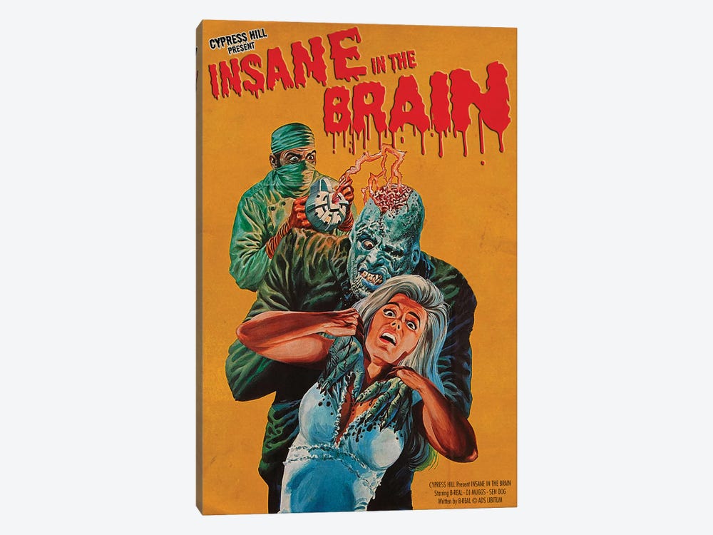 Insane In The Brain by Ads Libitum 1-piece Canvas Wall Art