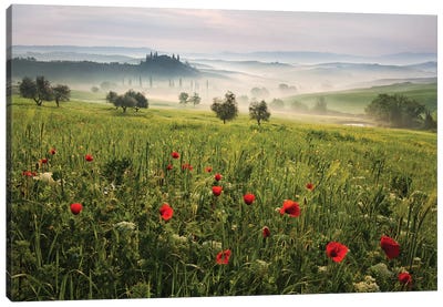 Tuscan Spring Canvas Art Print