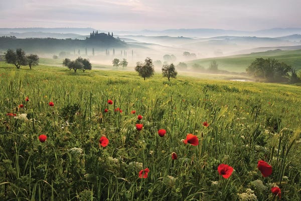 Tuscany: Tuscan Spring by Daniel Řeřicha