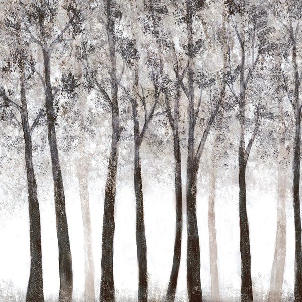 Doris Charest: Wooded Grove by Doris Charest