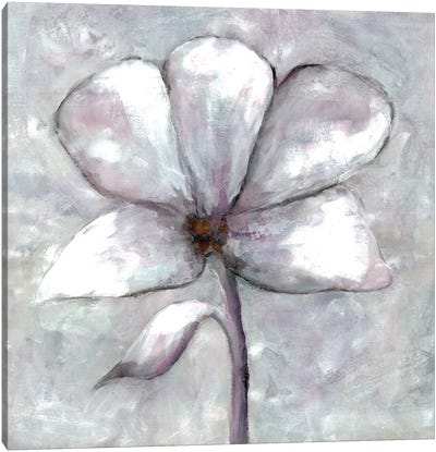 Cherished Bloom III Canvas Art Print - Doris Charest