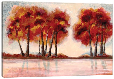 Fall Foliage II Canvas Art Print - Doris Charest