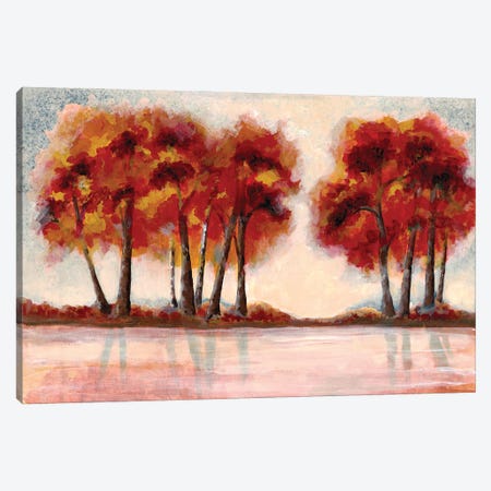 Fall Foliage II Canvas Print #DRI24} by Doris Charest Art Print