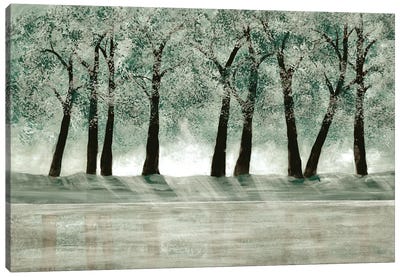 Green Forest I Canvas Art Print - Doris Charest