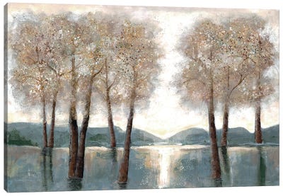 Approaching Woods Canvas Art Print - Tree Art
