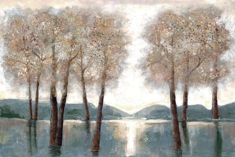 Approaching Woods