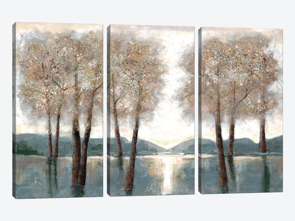 Approaching Woods by Doris Charest 3-piece Canvas Art