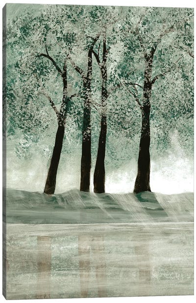 Green Forest II Canvas Art Print - Doris Charest