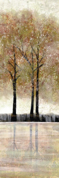 Serene Forest  III
