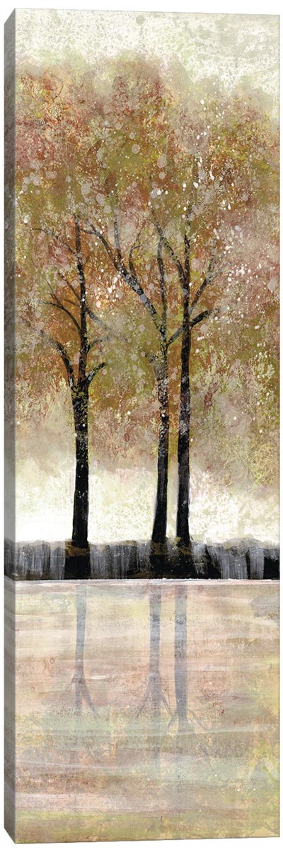 Serene Forest  III Canvas Art Print - Doris Charest