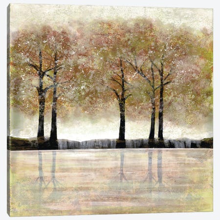 Serene Forest I Canvas Print #DRI39} by Doris Charest Art Print