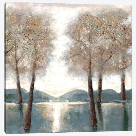 Approaching Woods II Canvas Print #DRI3} by Doris Charest Canvas Art Print