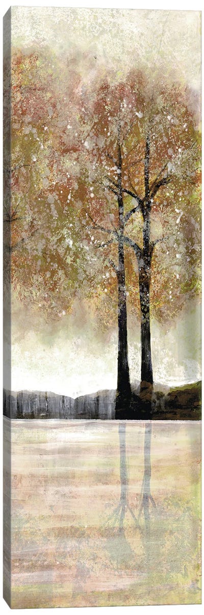 Serene Forest II Canvas Art Print - Doris Charest