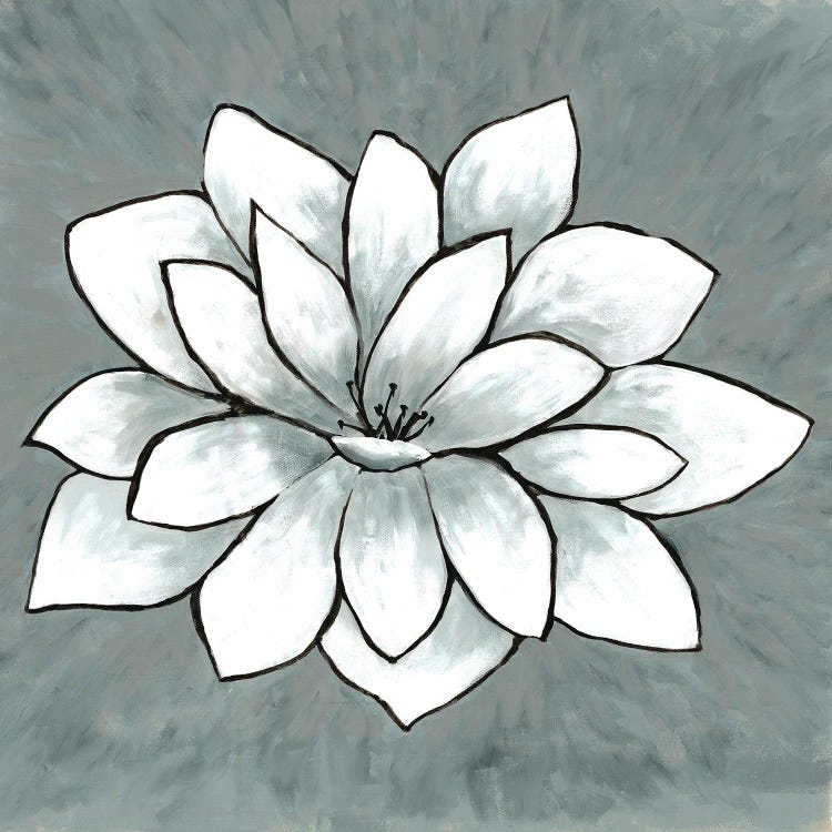 White Lotus