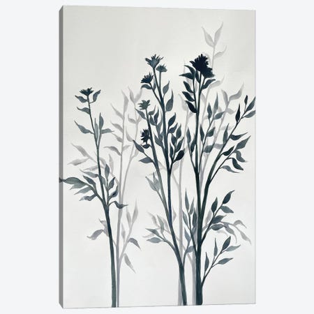 Botanical Inspiration I Canvas Print #DRI56} by Doris Charest Canvas Wall Art