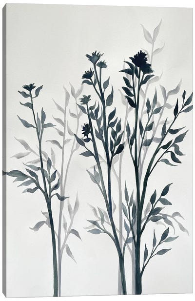 Botanical Inspiration I Canvas Art Print - Doris Charest
