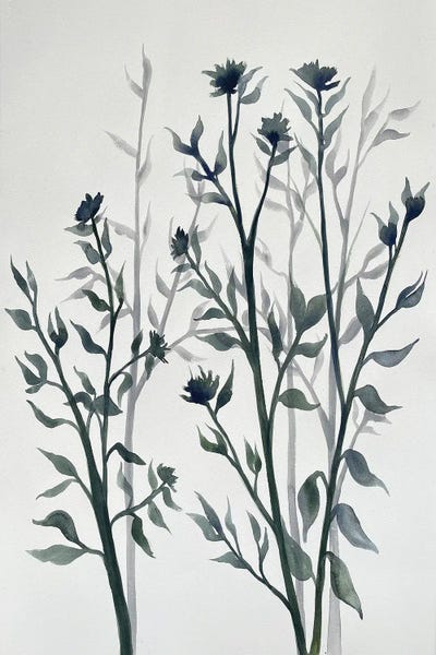 Botanical Inspiration II by Doris Charest canvas print