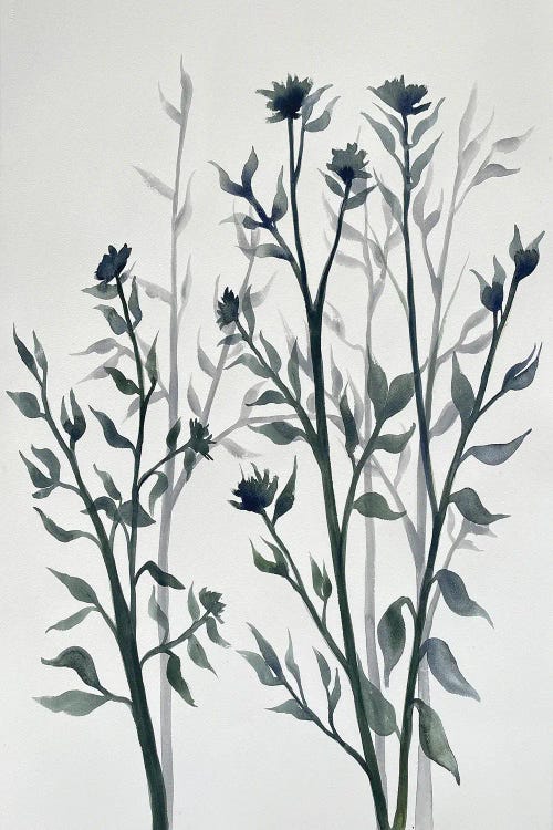 Botanical Inspiration II by Doris Charest wall art