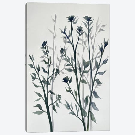 Botanical Inspiration II Canvas Print #DRI57} by Doris Charest Canvas Wall Art